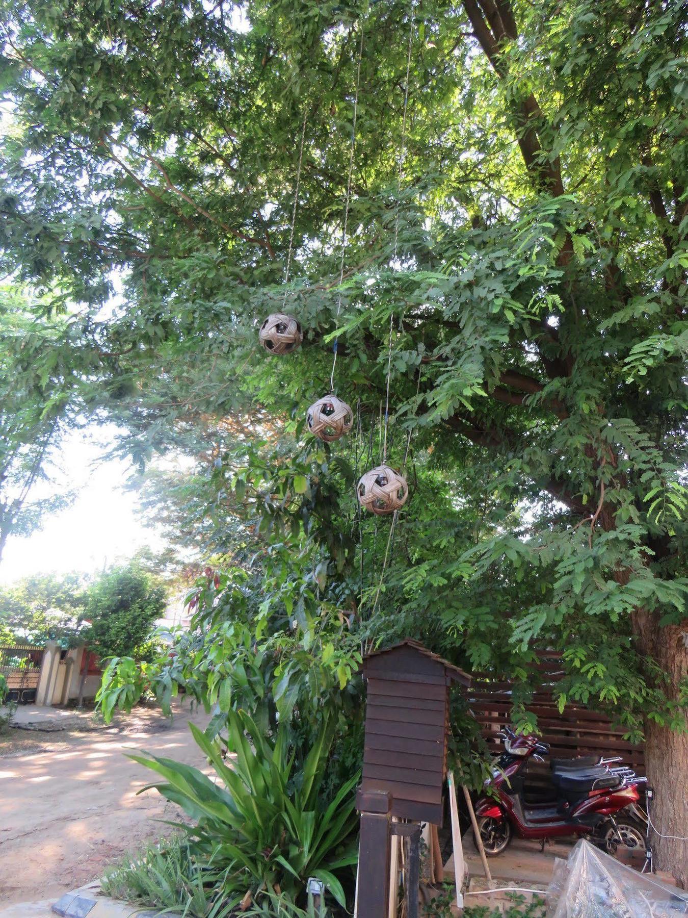 Bagan Nova Hotel New Bagan Exterior foto